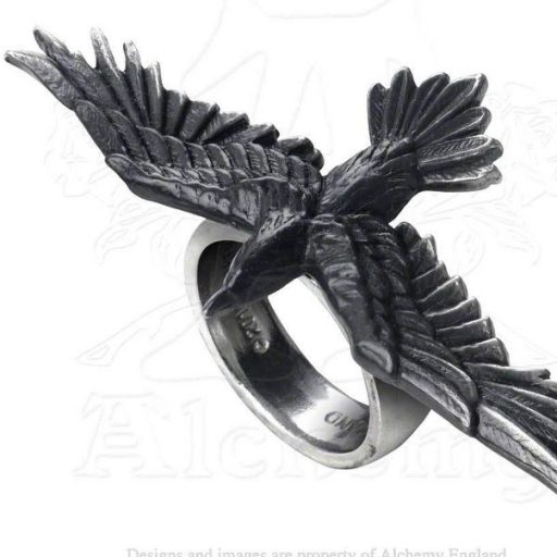 cropped-ravenring.jpg