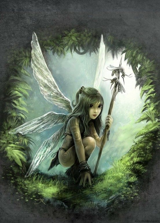 fairywarrior