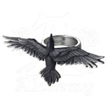 ravenring1